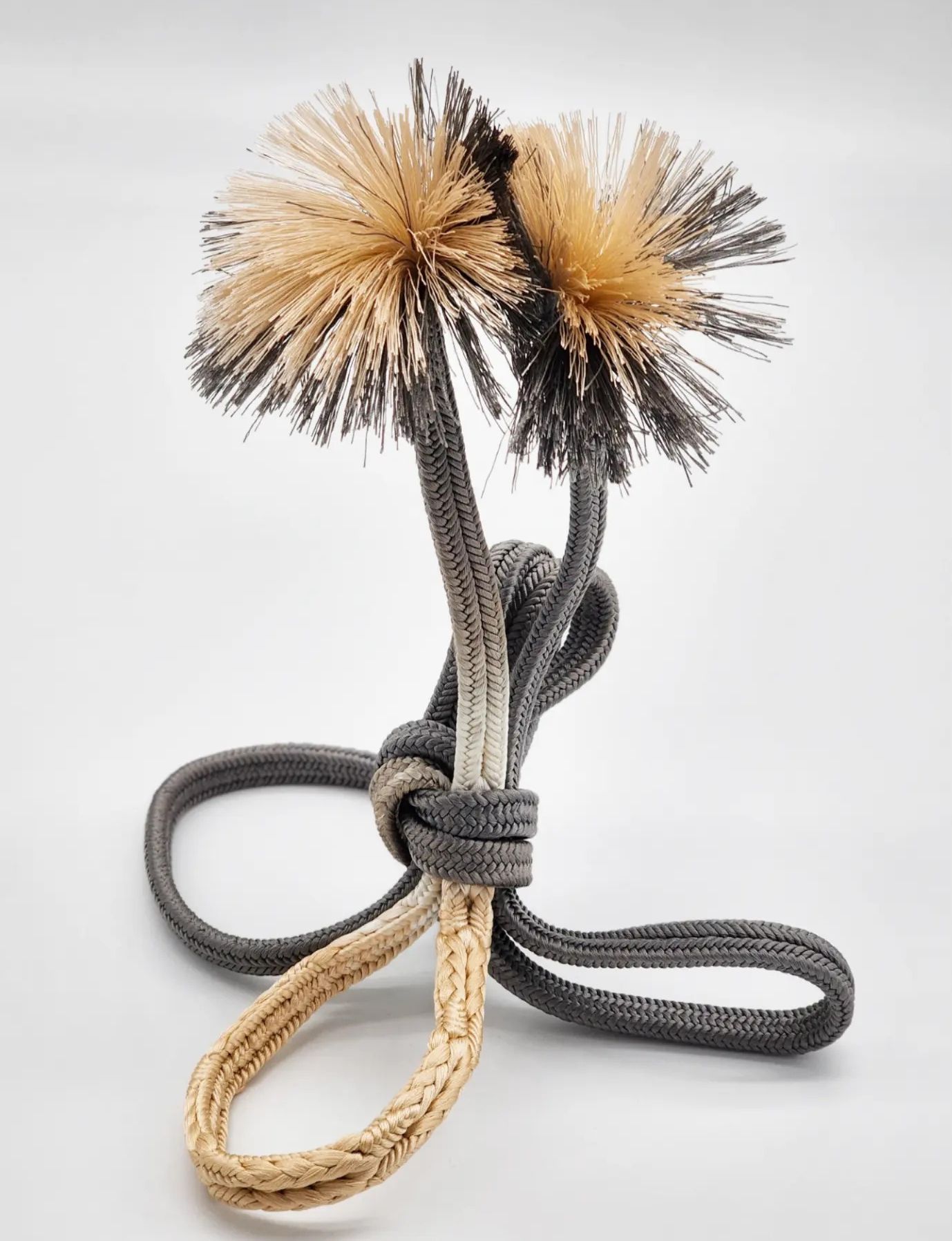 Work by Ryuta FUKUDA