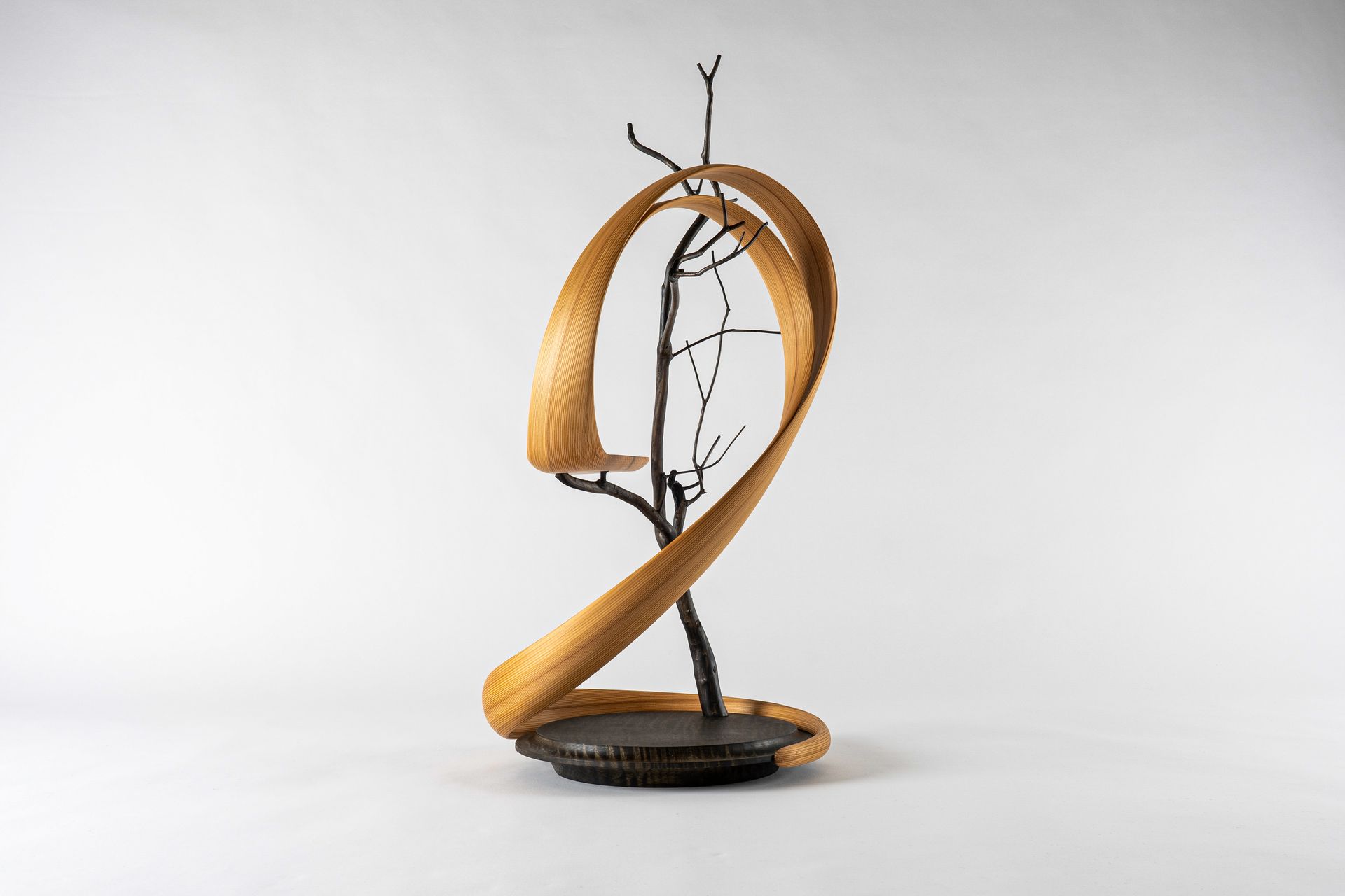 Kenta HIRAI, Japanese Artist, Wood Furniture