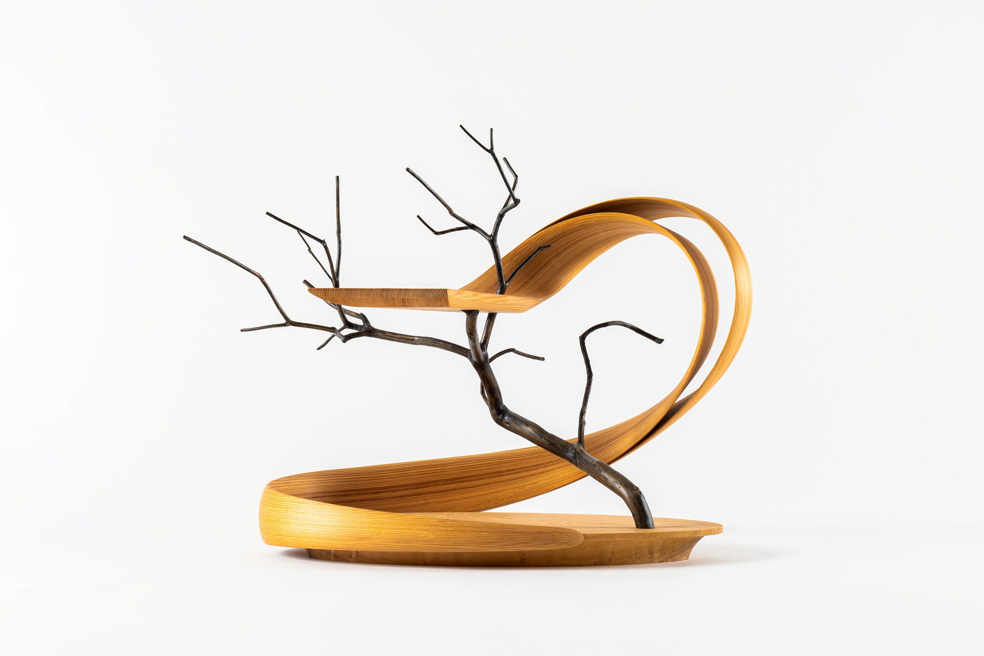 Kenta HIRAI , Japanese Artist of Wood Furniture