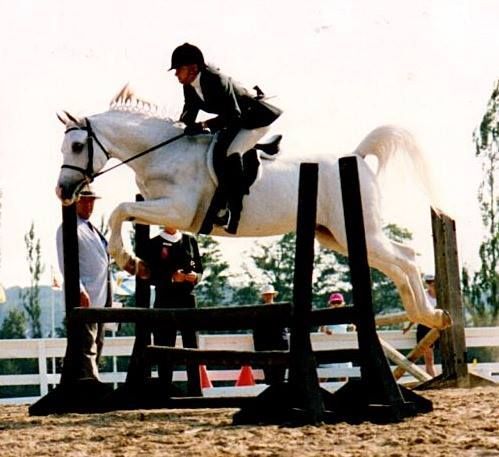 White horse and rider jumping over a black fence at an equestrian event.