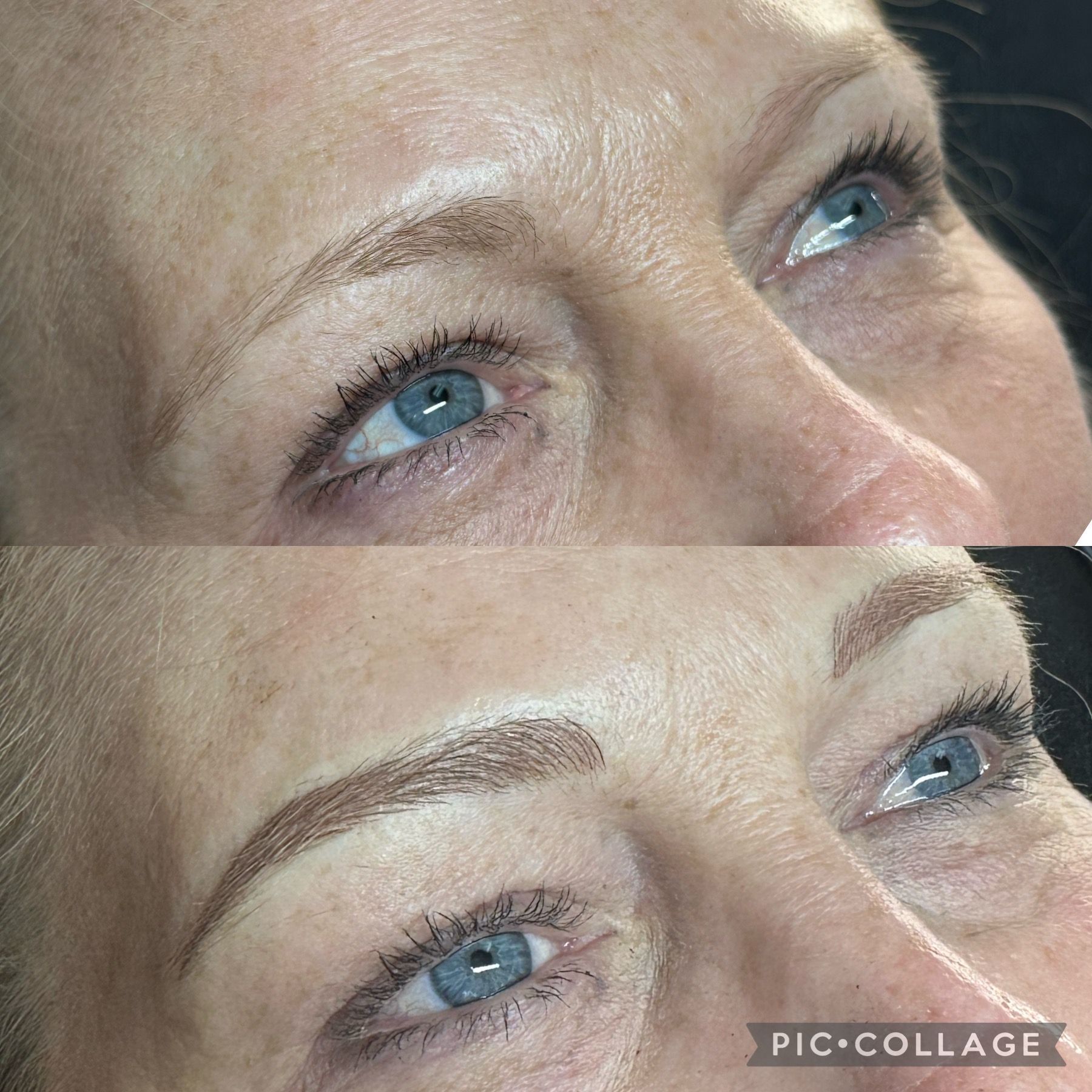 Blade to Beauty Eyebrow Microblading 