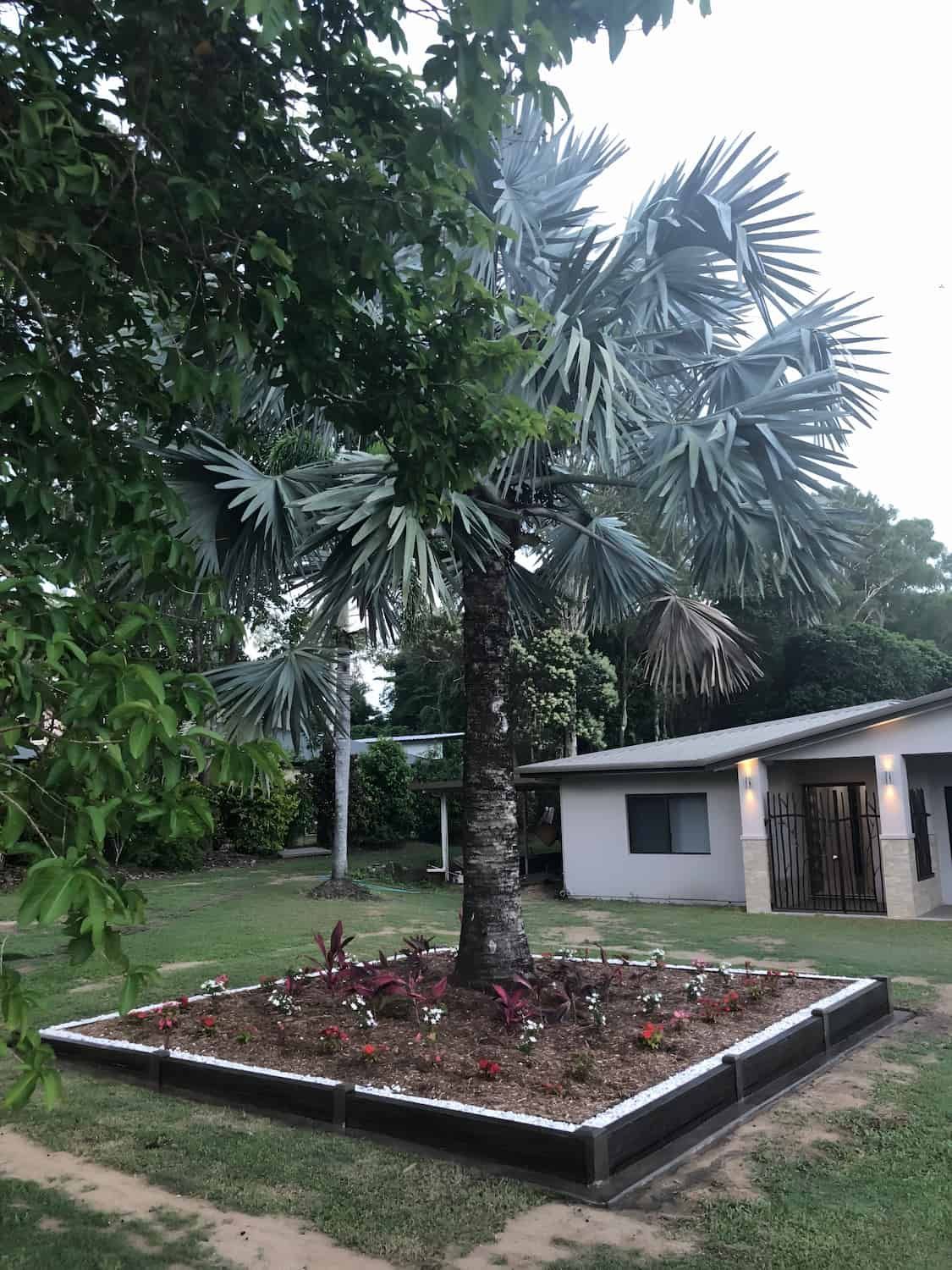 A Concrete Sleeper And A Palm Tree— NQ Prefab Concrete Products Pty Ltd In Coconuts, QLD