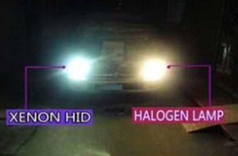HID XENON KIT H1