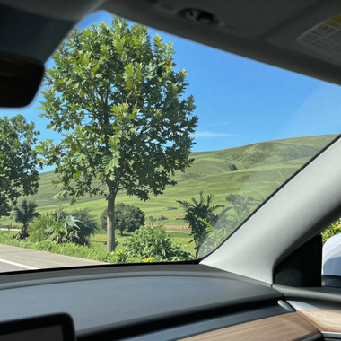 View from a car interior of a green hillside with trees under a clear blue sky