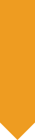 Orange downward-pointing chevron icon on a white background