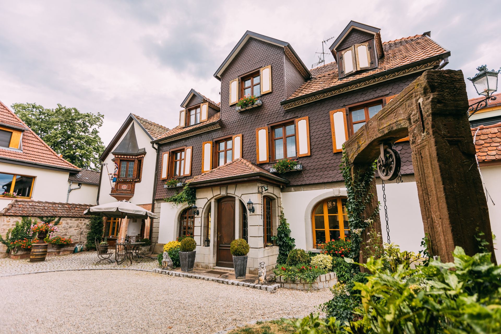 Une vue aérienne d'un vignoble avec des montagnes en arrière-plan