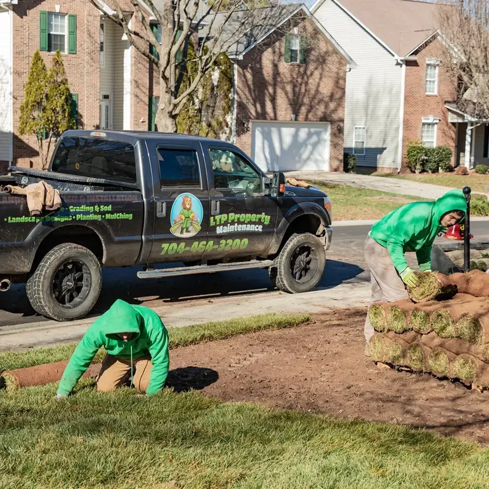 A look back at 2024 LTP Property Maintenance