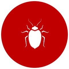 DEX MULTISERVICIOS