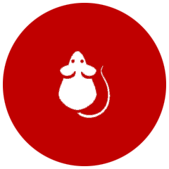 DEX MULTISERVICIOS