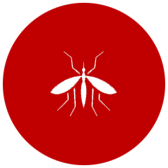 DEX MULTISERVICIOS