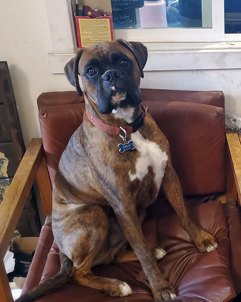 Gallery Image | Reeves Auto Repair