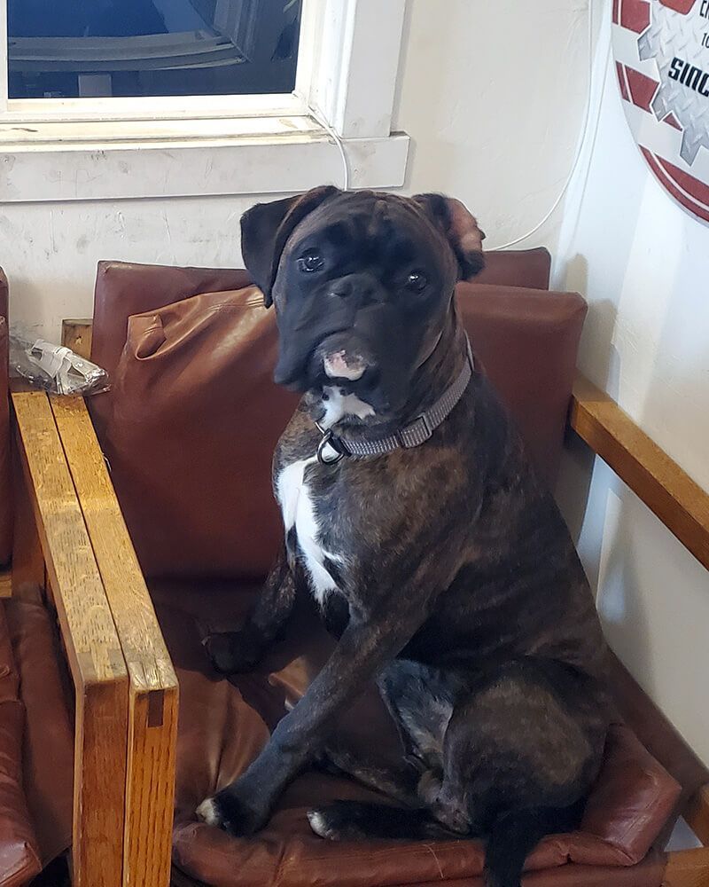 Gallery Image | Reeves Auto Repair