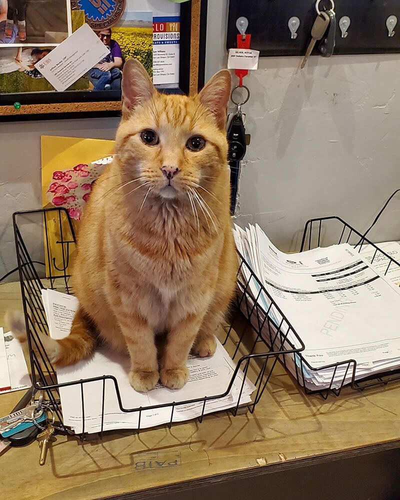 Gallery Image | Reeves Auto Repair