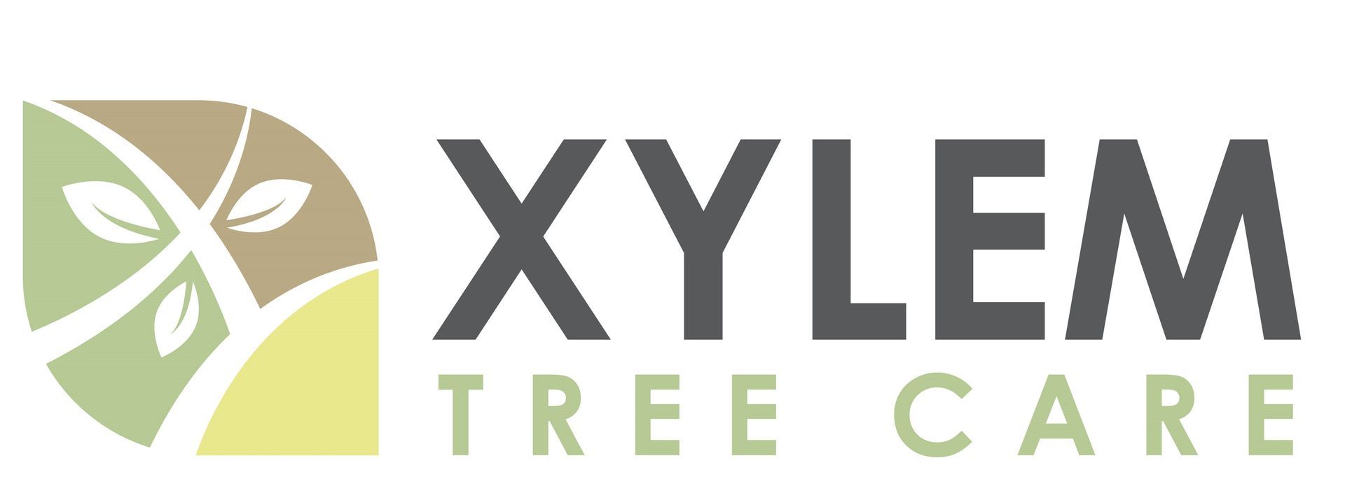Xylem Tree Care
