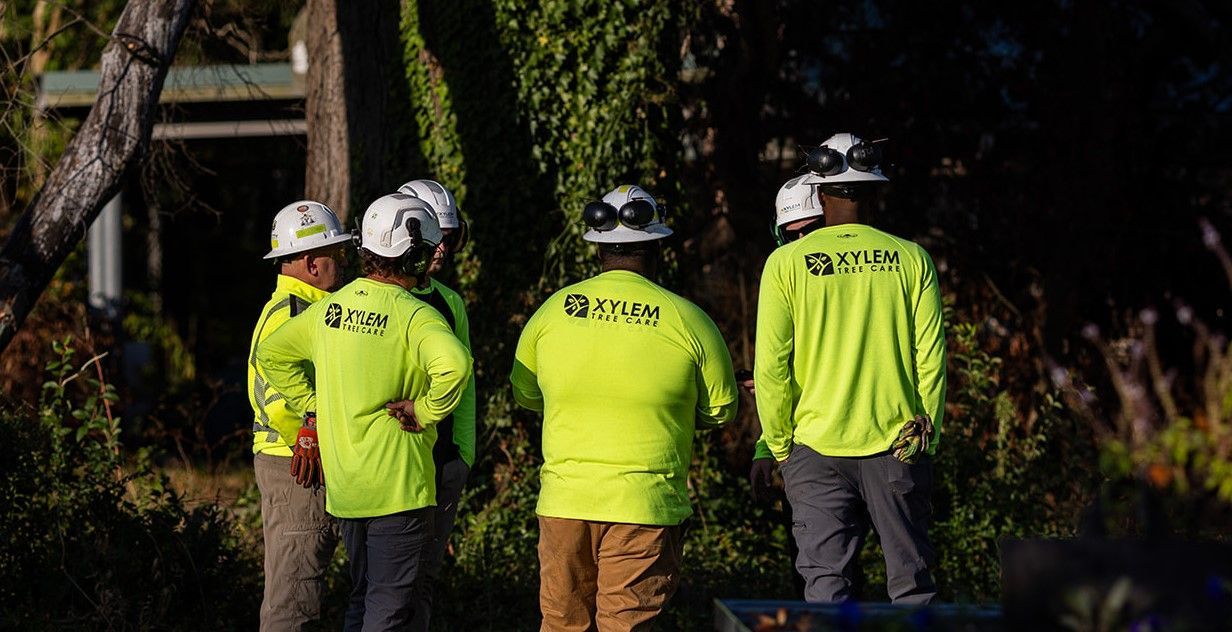 A group of men wearing green shirts that say xylem tree care — Norfolk, VA — Xylem Tree Care
