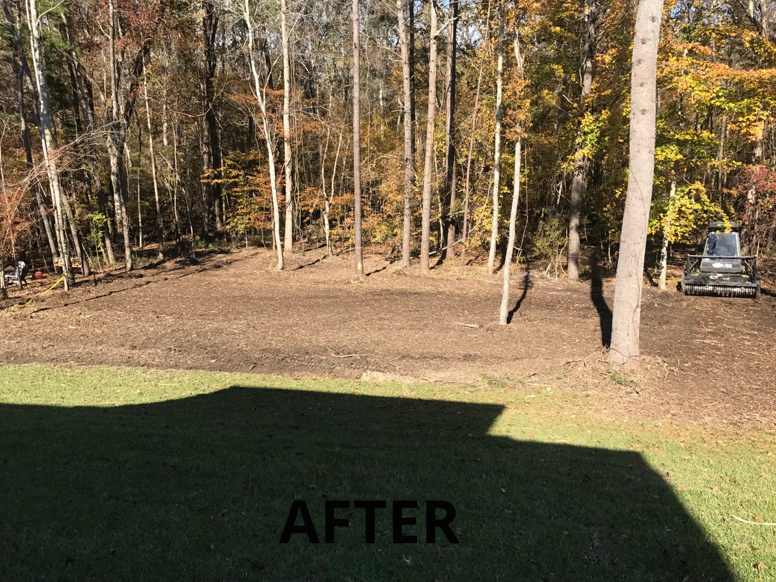 after underbrushing 2