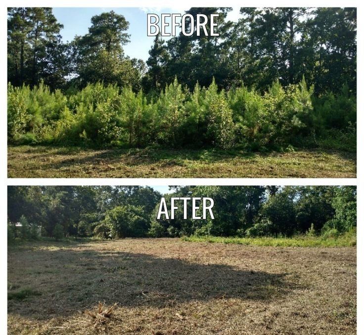before and after land clearing