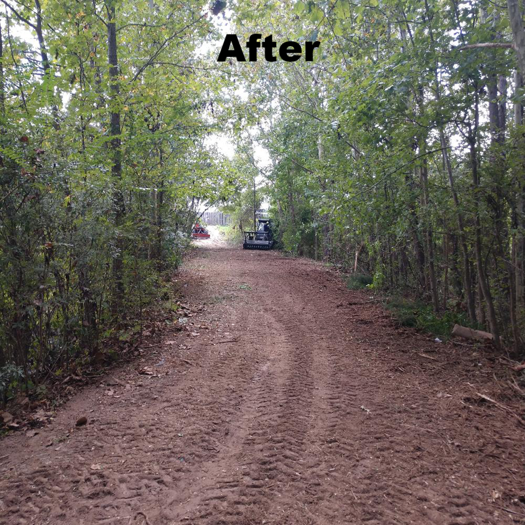 after underbrushing - Charleston, Summerville, Mt. Pleasant, Moncks Corner SC