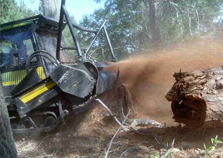 land clearing in progress