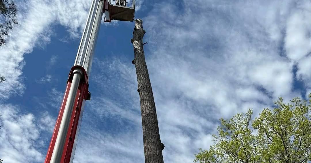 Whackem & Stackem Tree Service 1