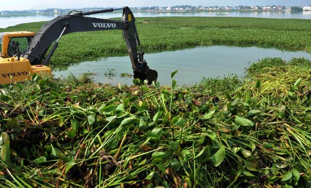 land clearing in progress