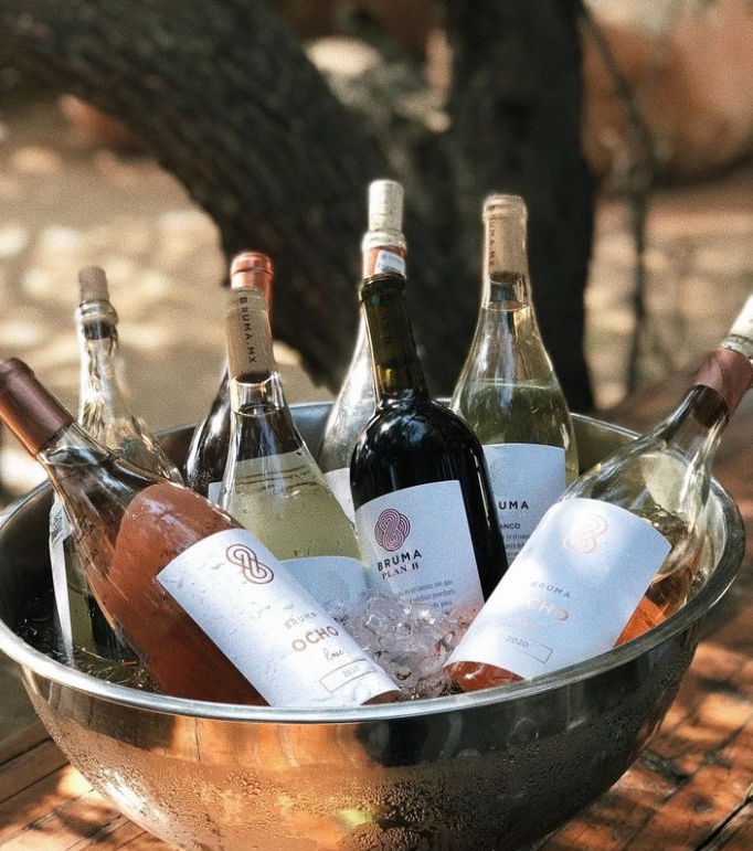 bruma valle guadalupe