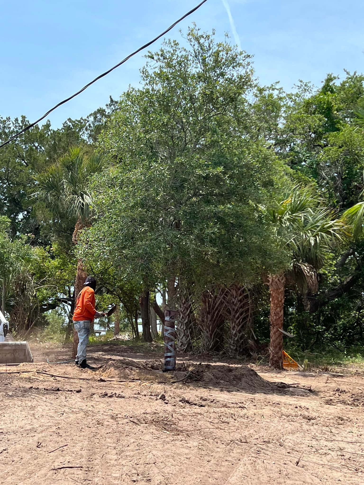A man is standing in a dirt field next to a tree.