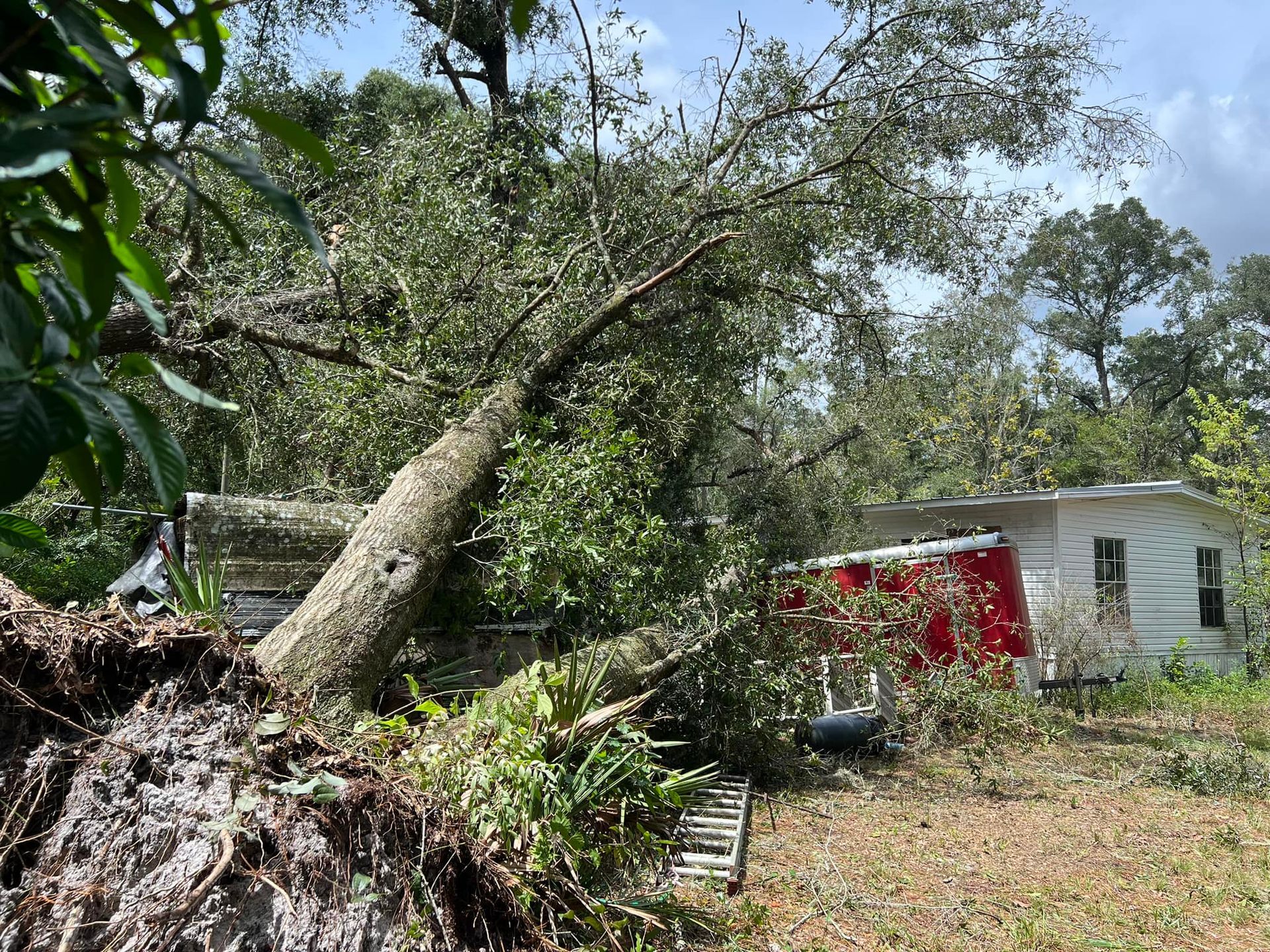 A tree has fallen on a house in the backyard.