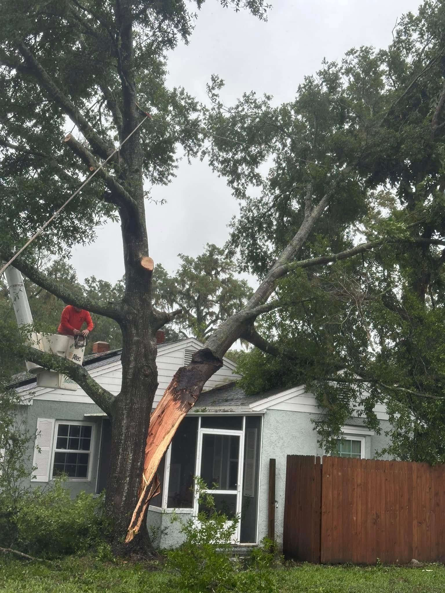 A tree that has fallen on top of a house