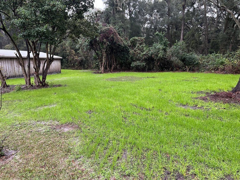 A large lush green field with trees and a shed in the background.