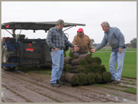 Landscaping — Lawn Care in Crystal Lake, IL