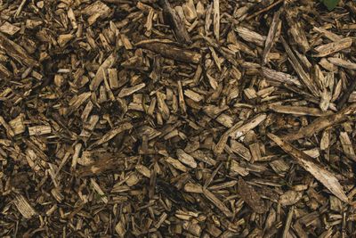 A pile of brown mulch is sitting on the ground.