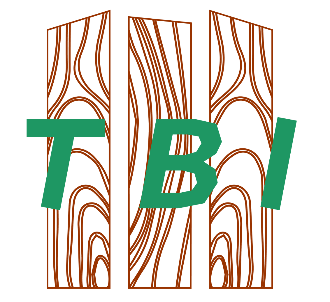 logo tbi