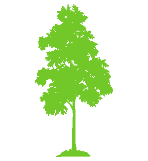 Kegley's Tree Service