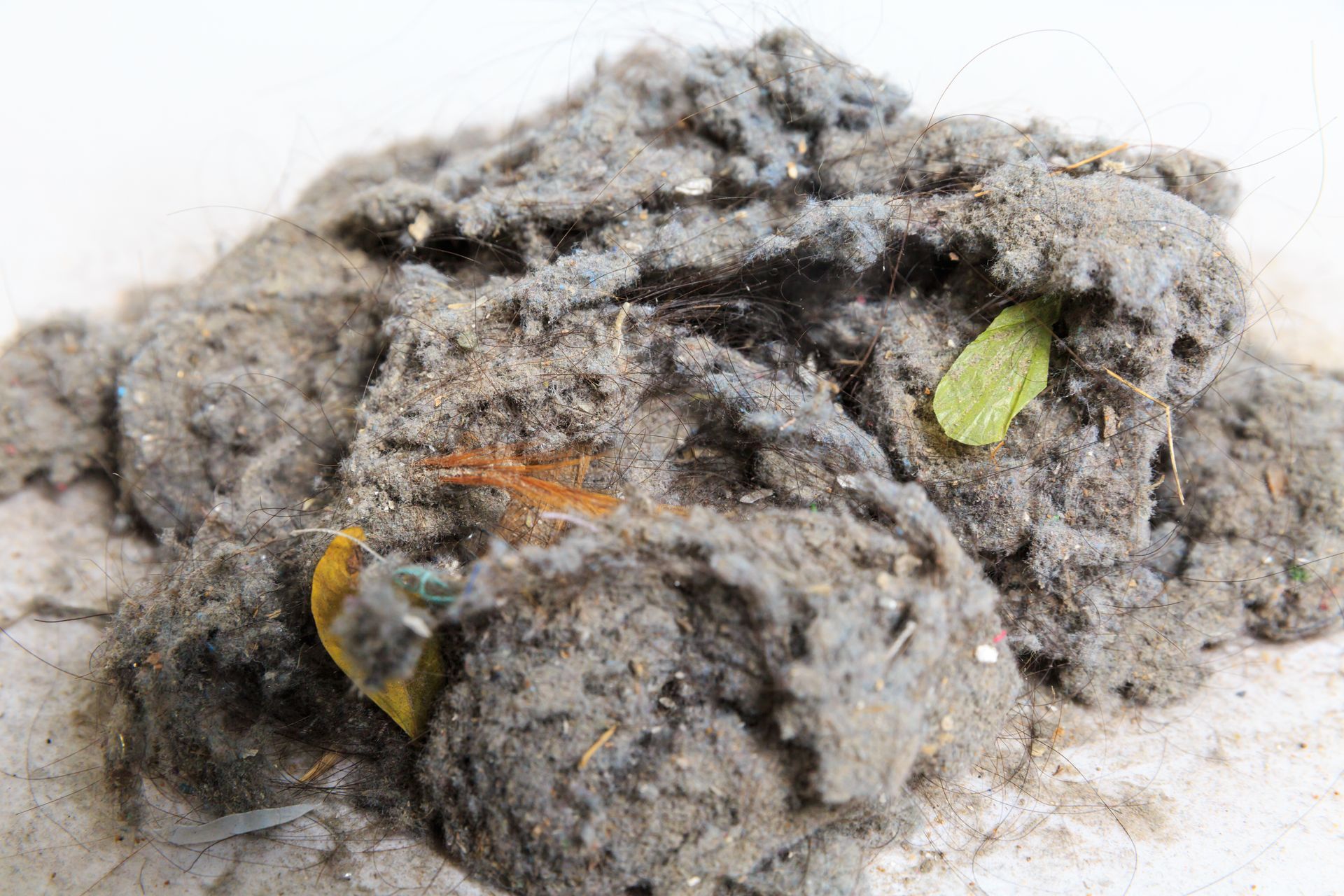 A pile of dirt and dust on a white surface.