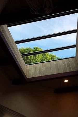 Skylight in a wooden frame, showing blue sky and a tree's green leaves.