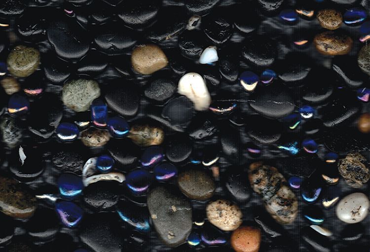 Pebble Pool finish | Tampa, FL | Florida Pool Finishers