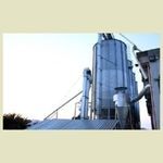 Stabilimento mandorle