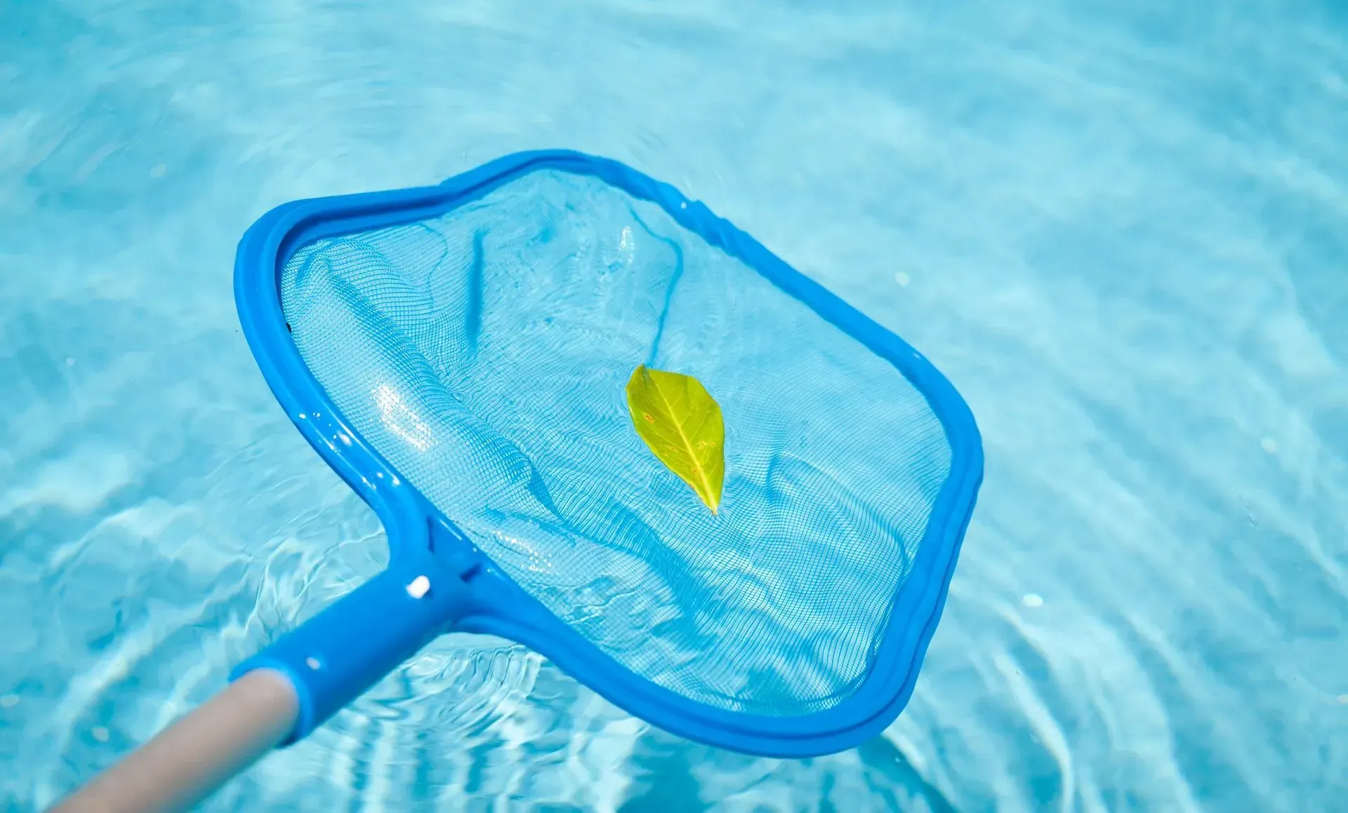 Blue pool skimmer with a yellow leaf in the water.