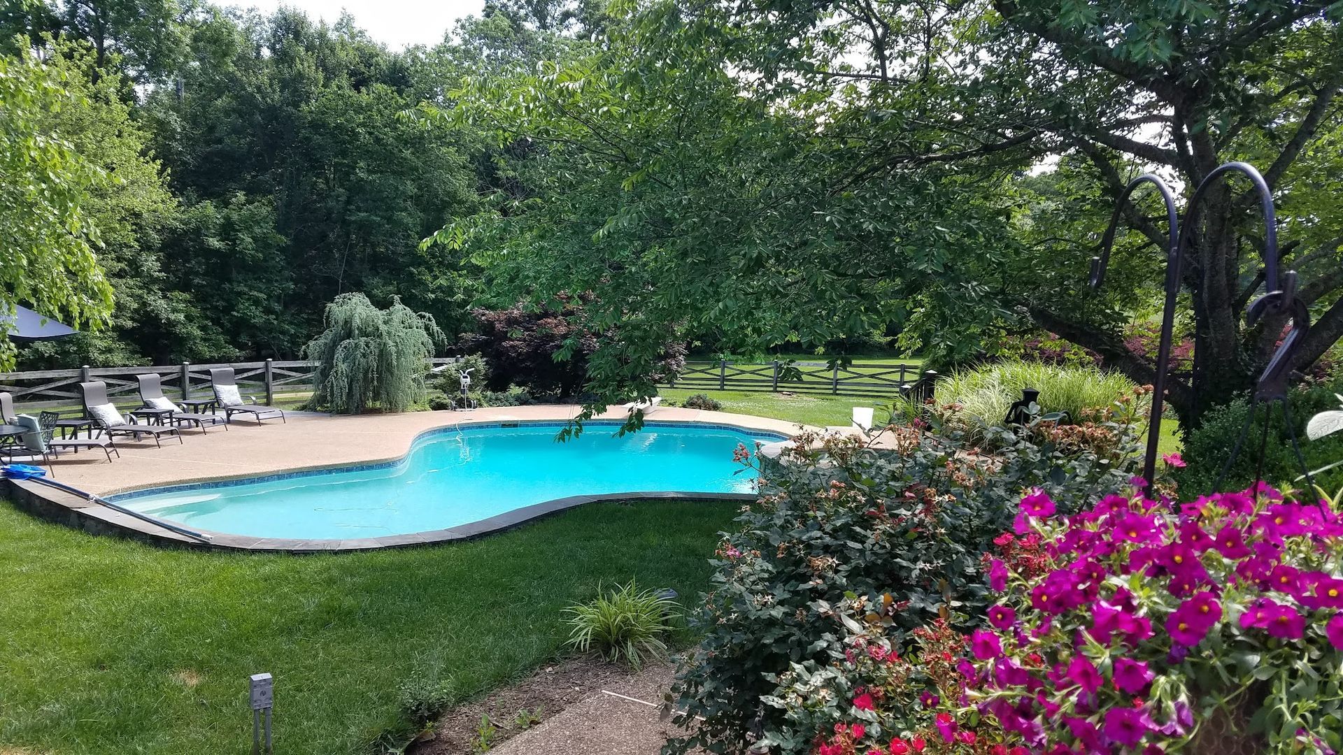 Pool with blue water surrounded by green grass, trees, and colorful flowers.
