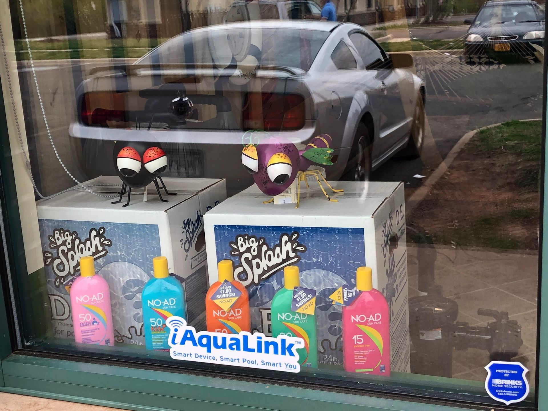 A storefront window displays swimming pool chemicals and whimsical fly figures, with a silver car reflected in the glass.