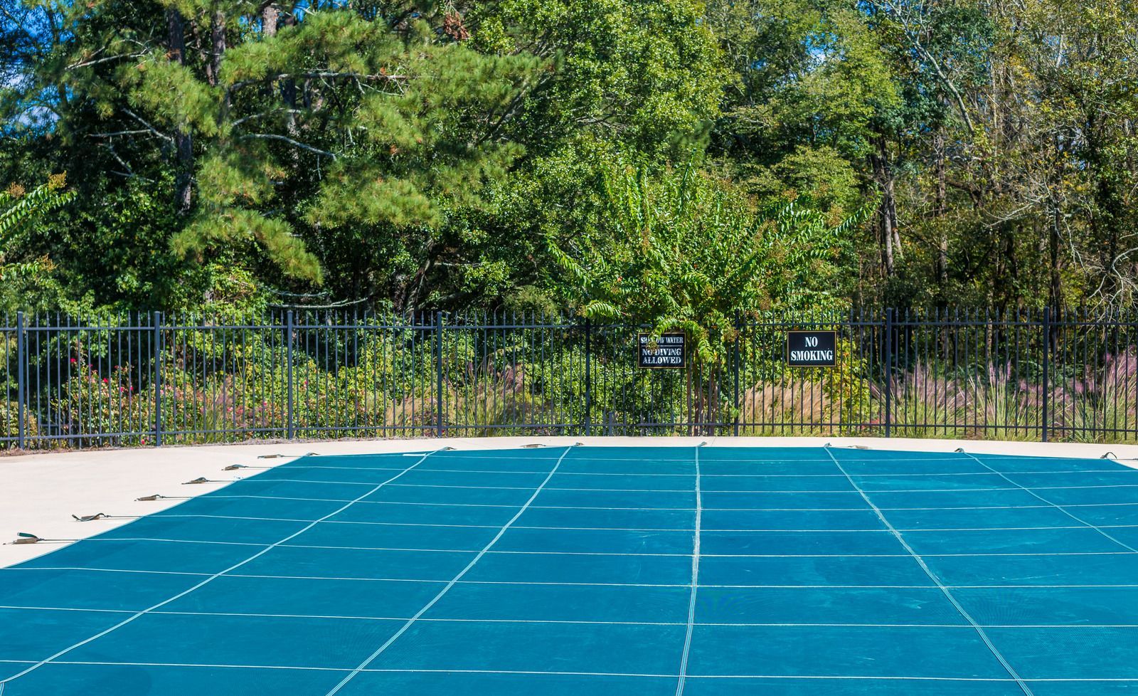 Blue pool cover on a concrete deck, backed by a black fence and trees.