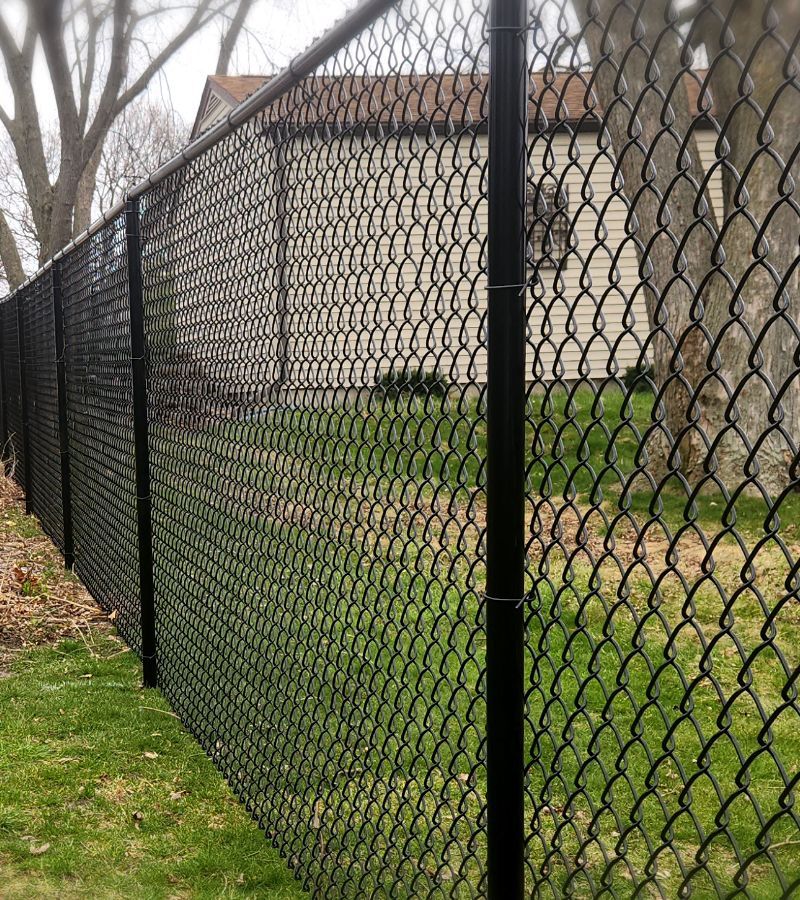A black chain link fence surrounds a lush green yard.