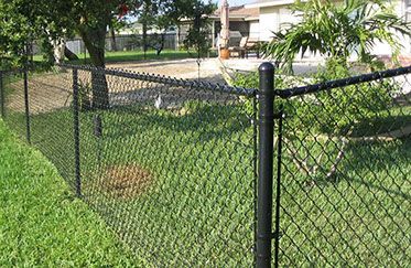 A black chain link fence surrounds a lush green yard.