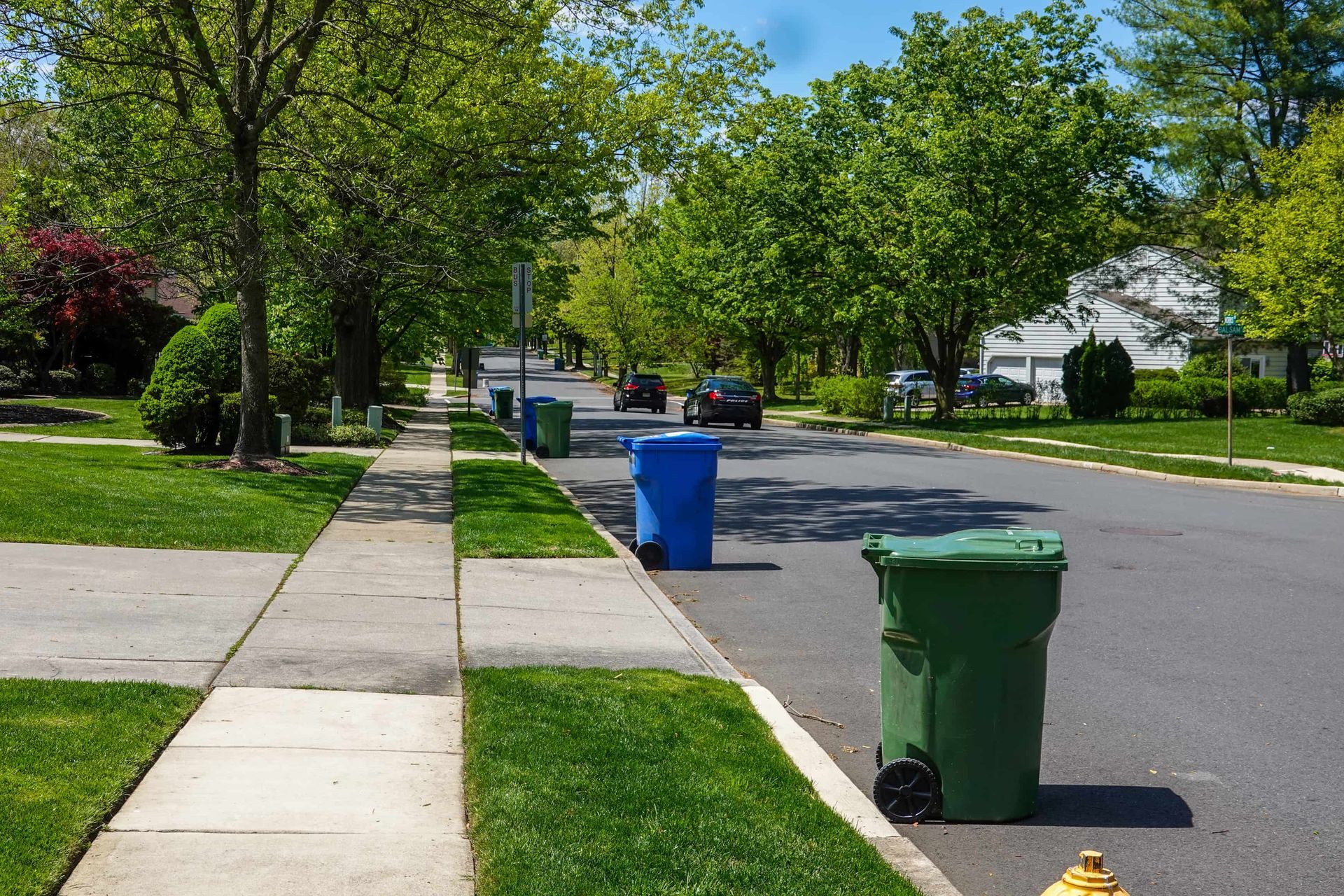 Street lined with green lawns, trees, and trash cans. Cars drive on asphalt road, blue sky.