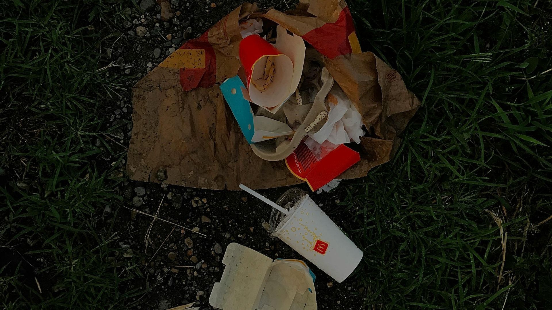 Discarded fast food packaging including plastic wrappers, cups, and containers lying on grass, representing plastic waste that breaks down into microplastics.