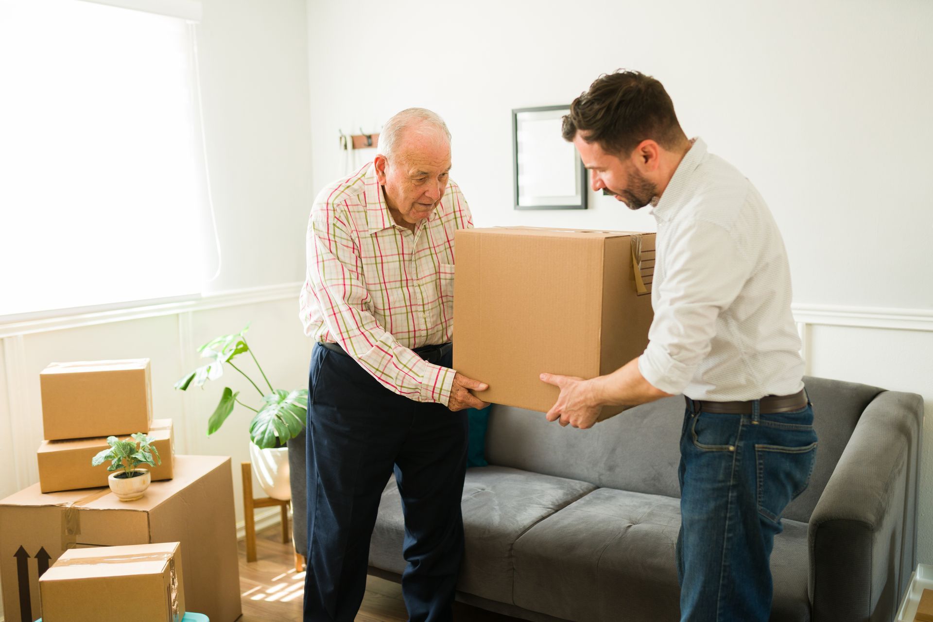 Two men, one older, carrying a cardboard box in a living room; moving furniture.