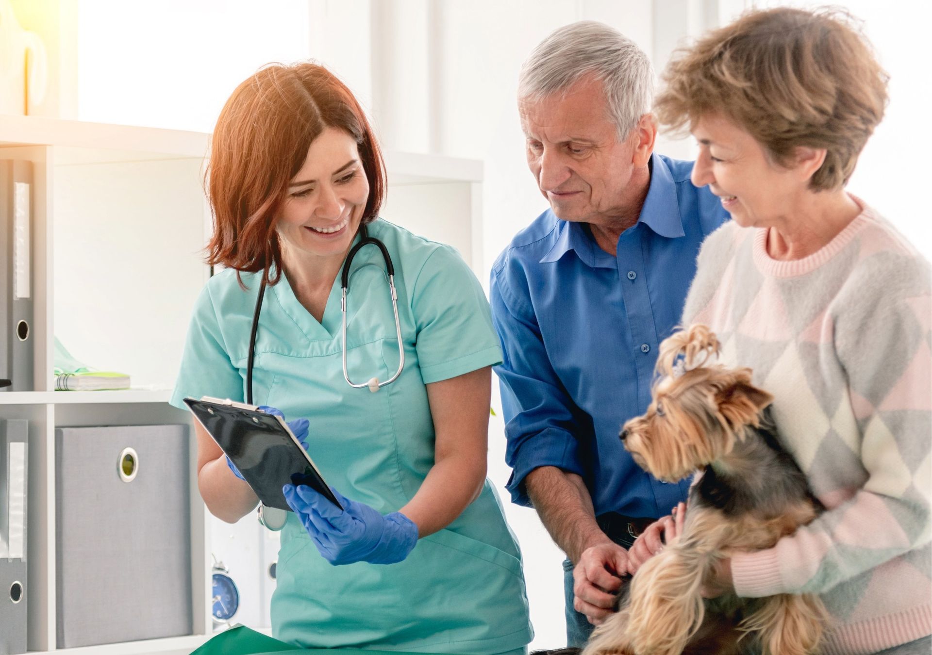 寵物出國醫檢與檢疫顧問支援意象－呈現醫檢與檢疫顧問群於健康檢查、RNATT 狂犬病抗體檢測及海外疾病篩檢等項目上，提供入境合規評估與專業諮詢之支援角色。