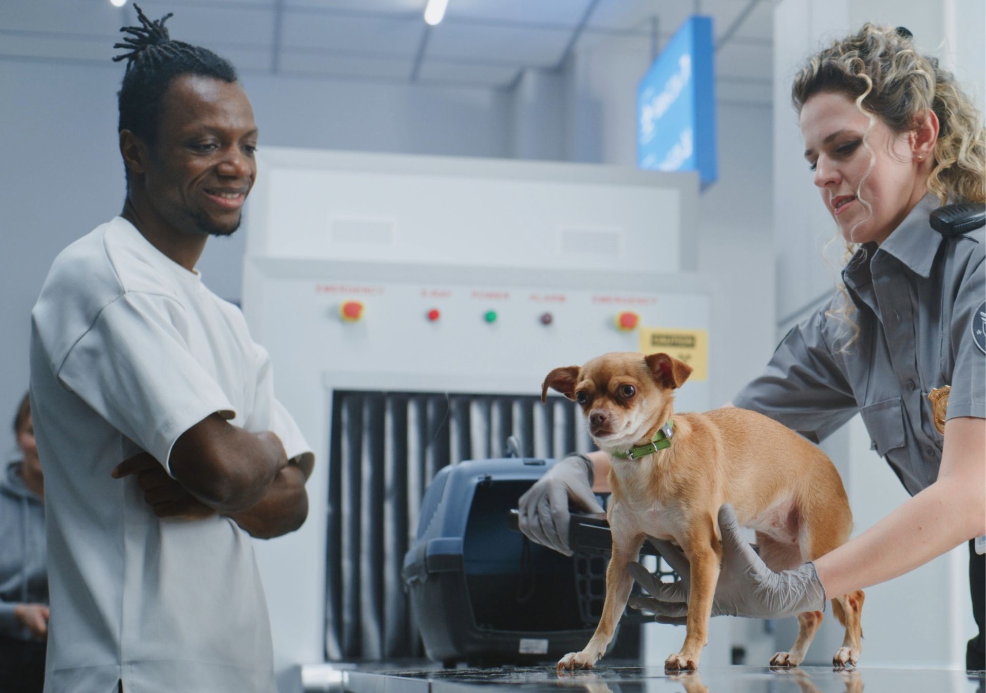 寵物移居澳洲高規範流程經驗意象－小型犬於機場作業場域，呈現面對澳洲嚴格入境規定時，對狂犬抗體檢驗、隔離條件與整體流程所需之專業評估與規畫經驗。