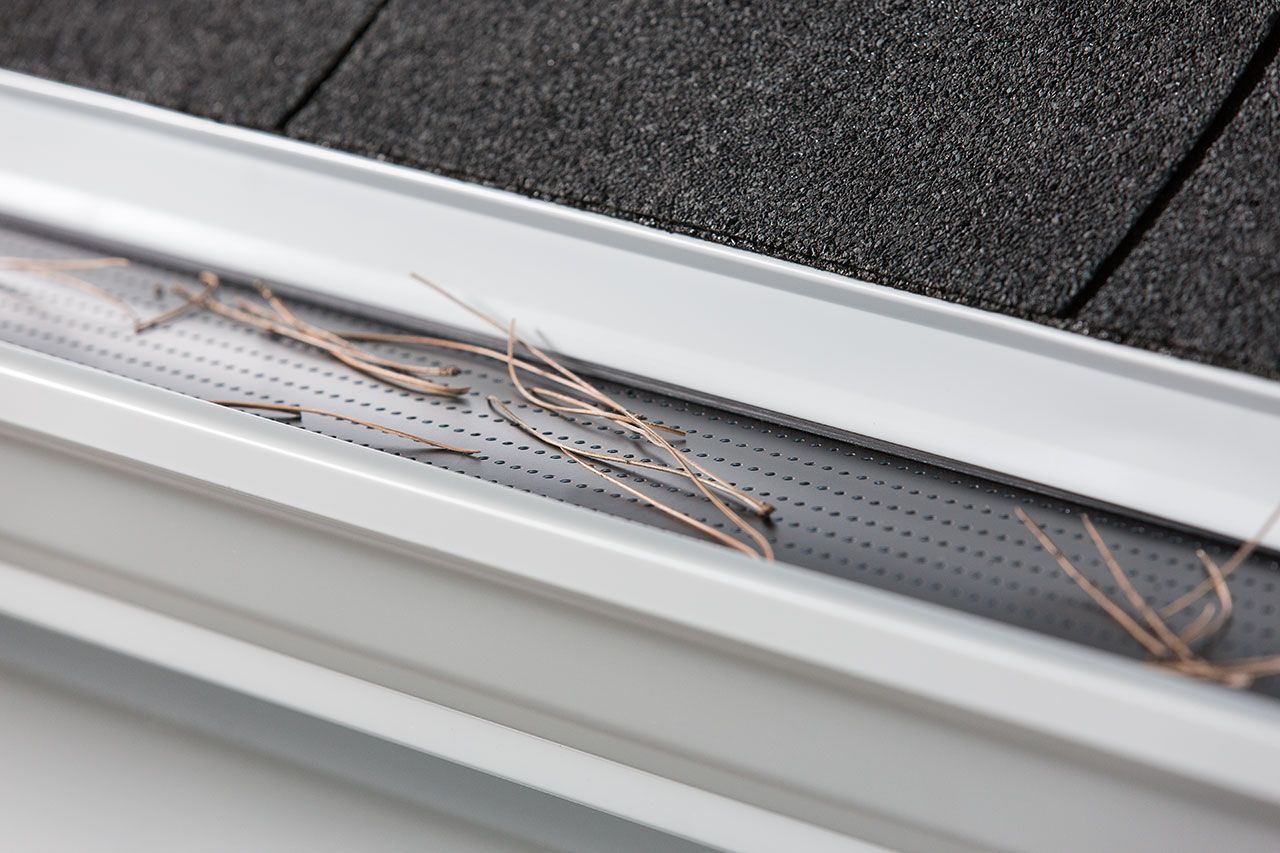 Une gouttière blanche recouverte d'une grille perforée, laissant apparaître des aiguilles de pin posées dessus.